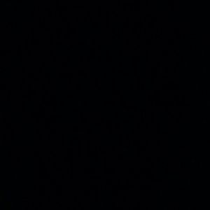 Meet your Posher, Genesis