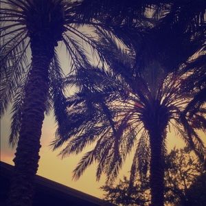 Reserved for fantxaa!