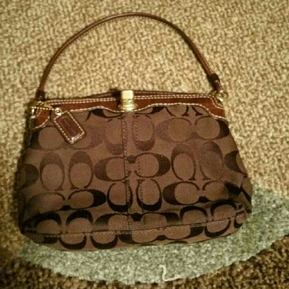 Dark Brown Jaguar Collection - Picture 1 of 2