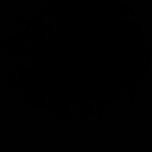 Meet your Posher, Destiny