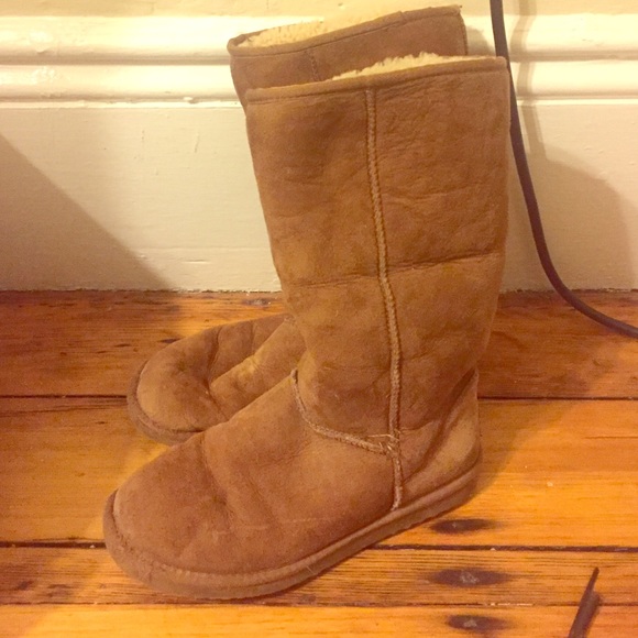 Tall chestnut Uggs