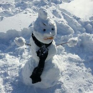 Meet your Posher, Alden