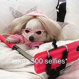 Meet your Posher, Laritza