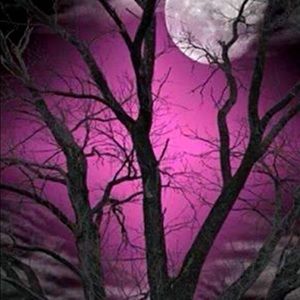 Meet your Posher, Deanna