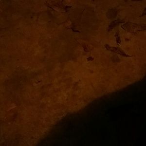 Meet your Posher, Bernyce