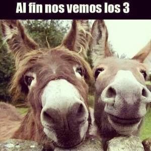 Meet your Posher, Kristine