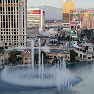 Meet your Posher, Tonya