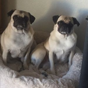 Meet your Posher, Ben