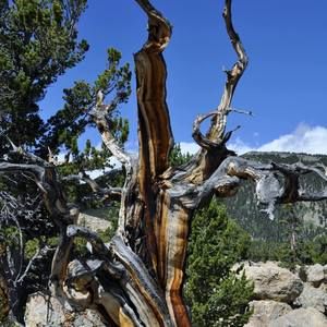 Meet your Posher, Sandy