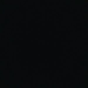 Meet your Posher, Kesha