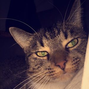 Meet your Posher, Alexus