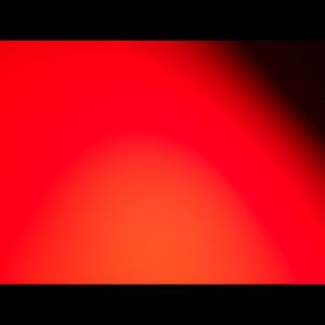 Meet your Posher, Suzi