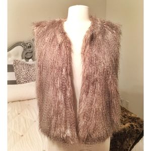 Collection Brown Fur Vest