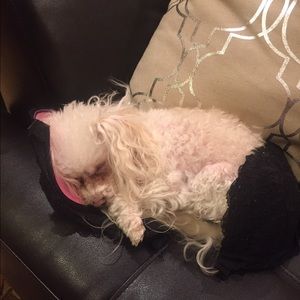 Meet your Posher, Freda