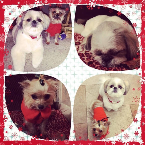 Wishing u a very happy Christmas & holiday season!