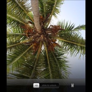 Meet your Posher, Tymon