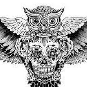 Meet your Posher, Haven