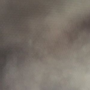 Meet your Posher, Trisha