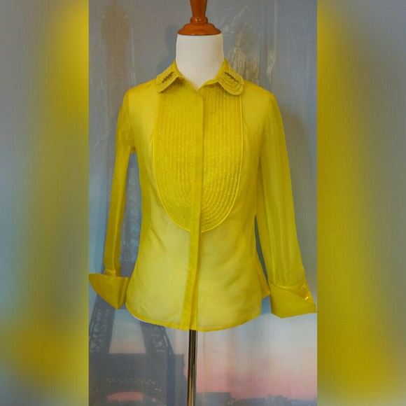 BEAUTIFUL SHEER SILK BLOUSE