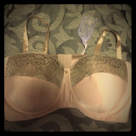 Butterfly Bra