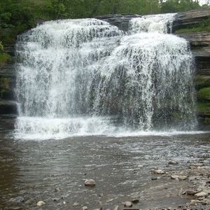 Meet your Posher, Colette