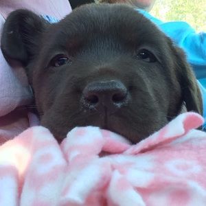 Meet your Posher, Spencer