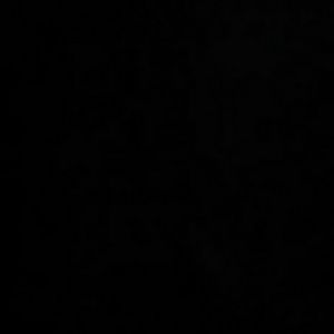 Meet your Posher, Shirley