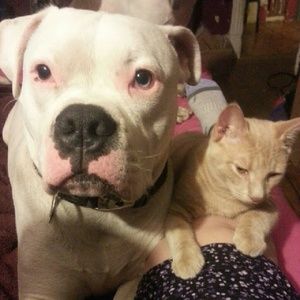 Meet your Posher, Gigi