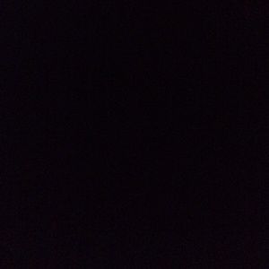 Meet your Posher, Biene