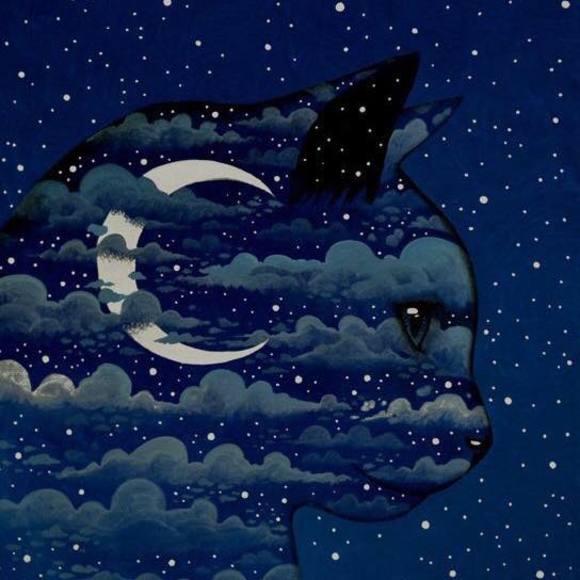 Meet your Posher, Alejandra - Picture 1 of 1