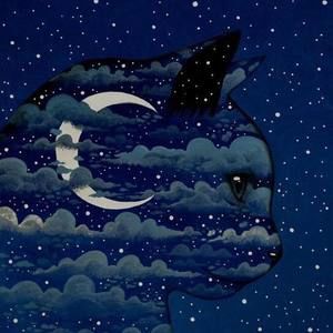 Meet your Posher, Alejandra