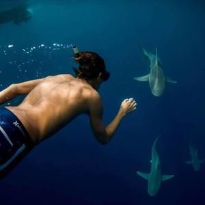 Meet your Posher, Evan