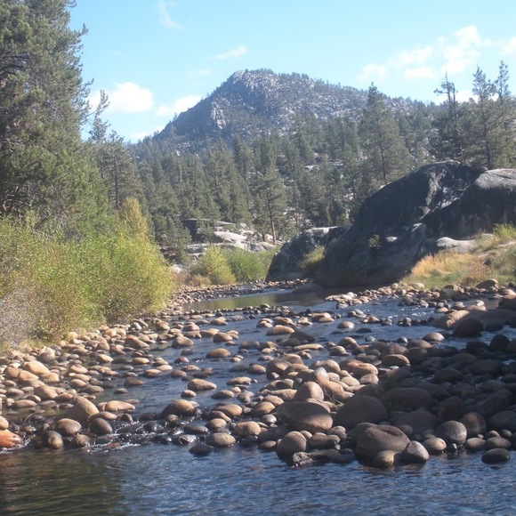 Meet your Posher, Chelsea