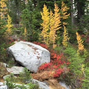 Meet your Posher, Samantha