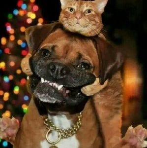 Friendship can be hard