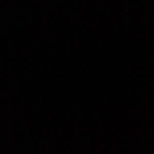 Meet your Posher, Danya