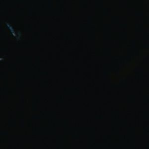 Meet your Posher, Josie