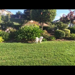 Meet your Posher, Jae