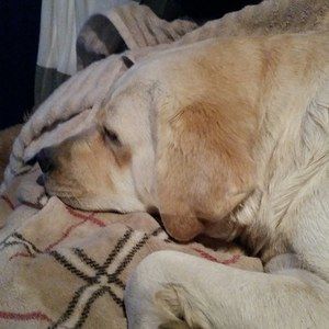 Meet your Posher, Barbara