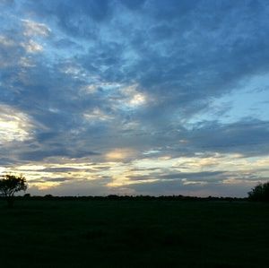 Meet your Posher, Lacey