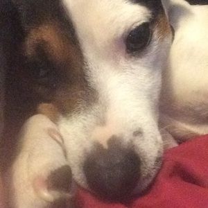 Meet your Posher, Rebekah