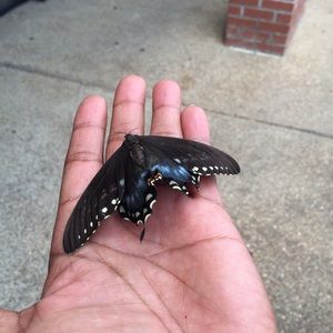 Meet your Posher, Jun