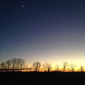 Meet your Posher, Delaney