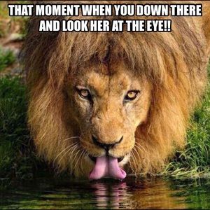 Meet your Posher, Erik