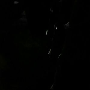 Meet your Posher, Eddie