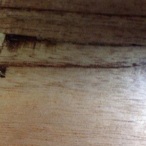 Meet your Posher, Karla