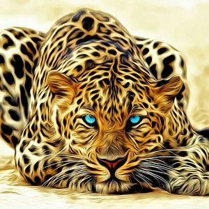 Meet your Posher, Irina