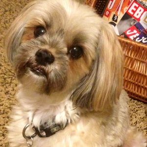 Meet your Posher, Leslie