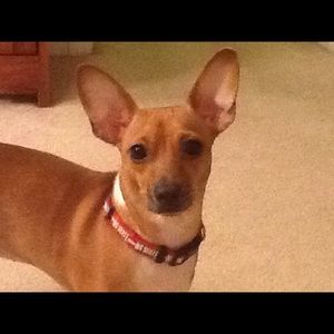 Meet your Posher, Crystal