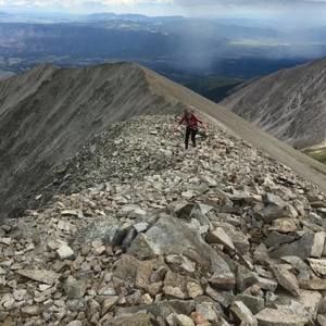 Meet your Posher, Molly